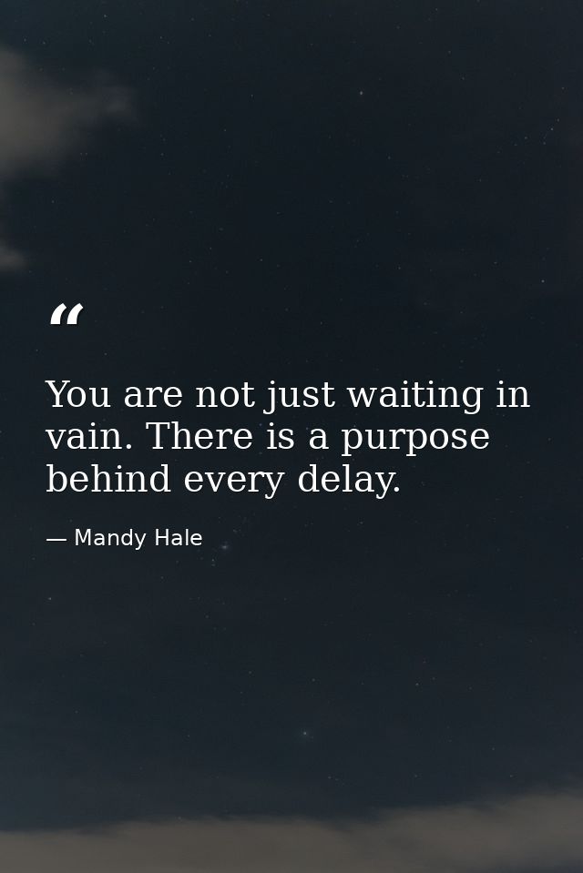 You are not just waiting in vain. There is a purpose behind every delay. — Mandy Hale