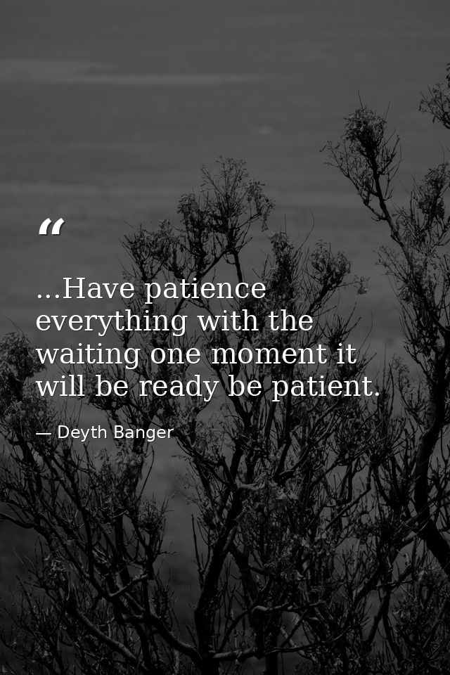 ...Have patience everything with the waiting one moment it will be ready be patient. — Deyth Banger