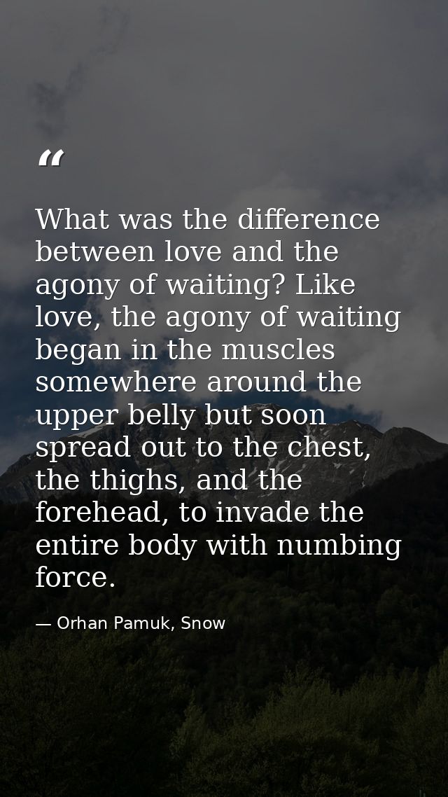 What was the difference between love and the agony of waiting? Like love, the agony of waiting began in the muscles some — Orhan Pamuk, Snow