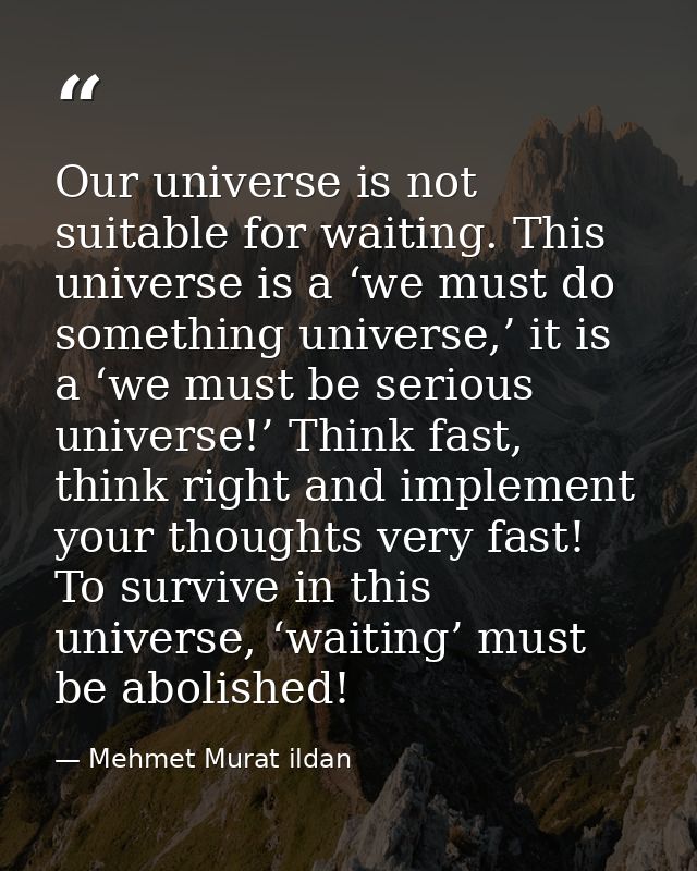Our universe is not suitable for waiting. This universe is a ‘we must do something universe,’ it is a ‘we must be seriou — Mehmet Murat ildan