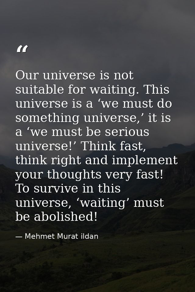 Our universe is not suitable for waiting. This universe is a ‘we must do something universe,’ it is a ‘we must be seriou — Mehmet Murat ildan