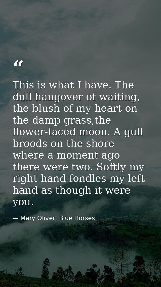 This is what I have. The dull hangover of waiting, the blush of my heart on the damp grass,the flower-faced moon. A gull — Mary Oliver, Blue Horses