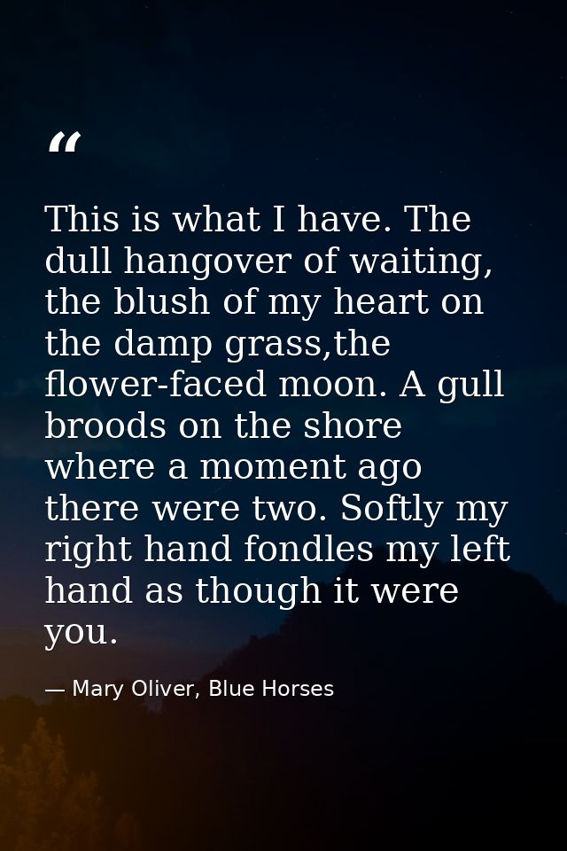 This is what I have. The dull hangover of waiting, the blush of my heart on the damp grass,the flower-faced moon. A gull — Mary Oliver, Blue Horses