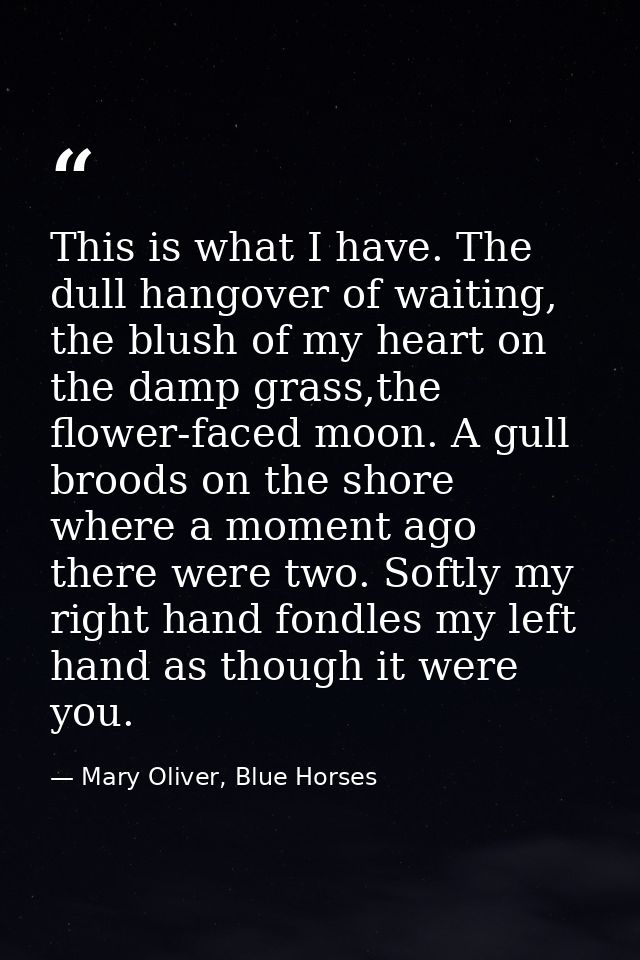 This is what I have. The dull hangover of waiting, the blush of my heart on the damp grass,the flower-faced moon. A gull — Mary Oliver, Blue Horses