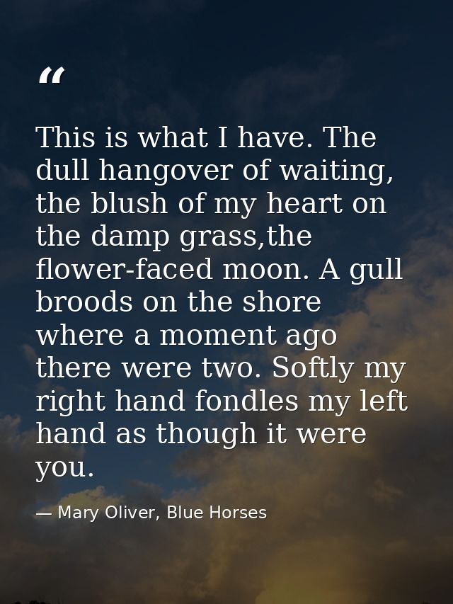 This is what I have. The dull hangover of waiting, the blush of my heart on the damp grass,the flower-faced moon. A gull — Mary Oliver, Blue Horses