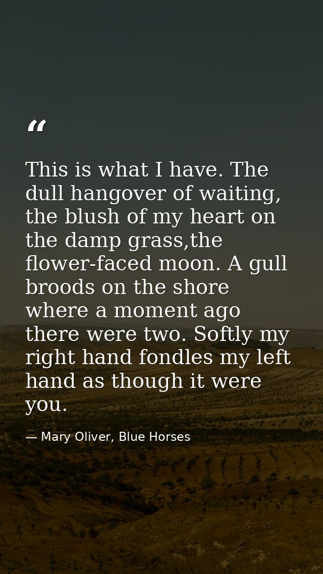 This is what I have. The dull hangover of waiting, the blush of my heart on the damp grass,the flower-faced moon. A gull — Mary Oliver, Blue Horses