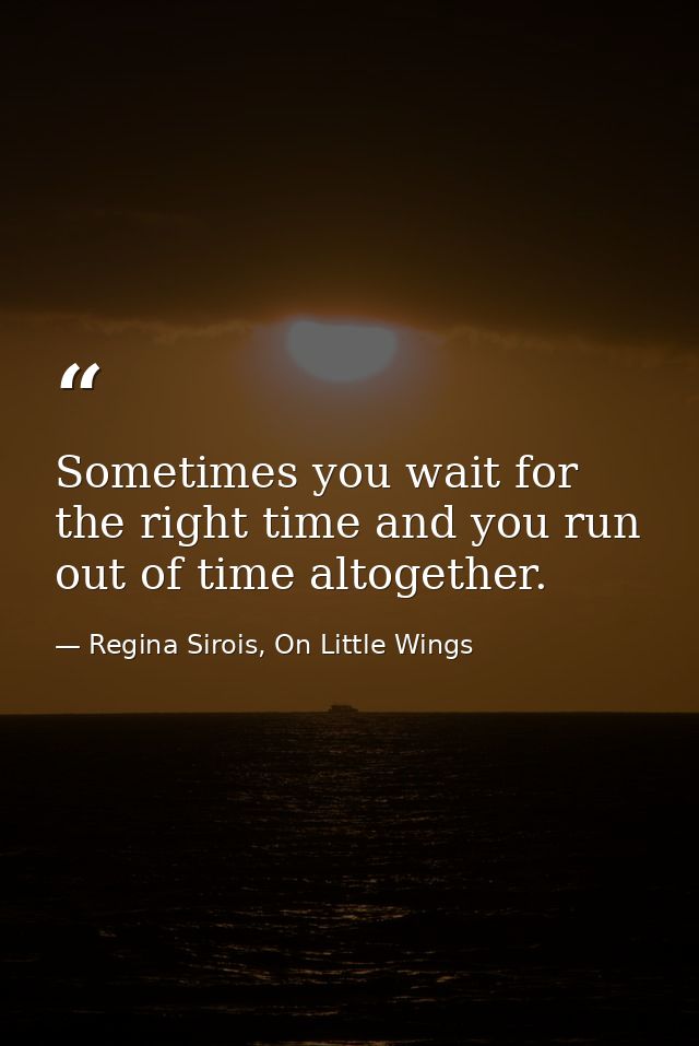 Sometimes you wait for the right time and you run out of time altogether. — Regina Sirois, On Little Wings