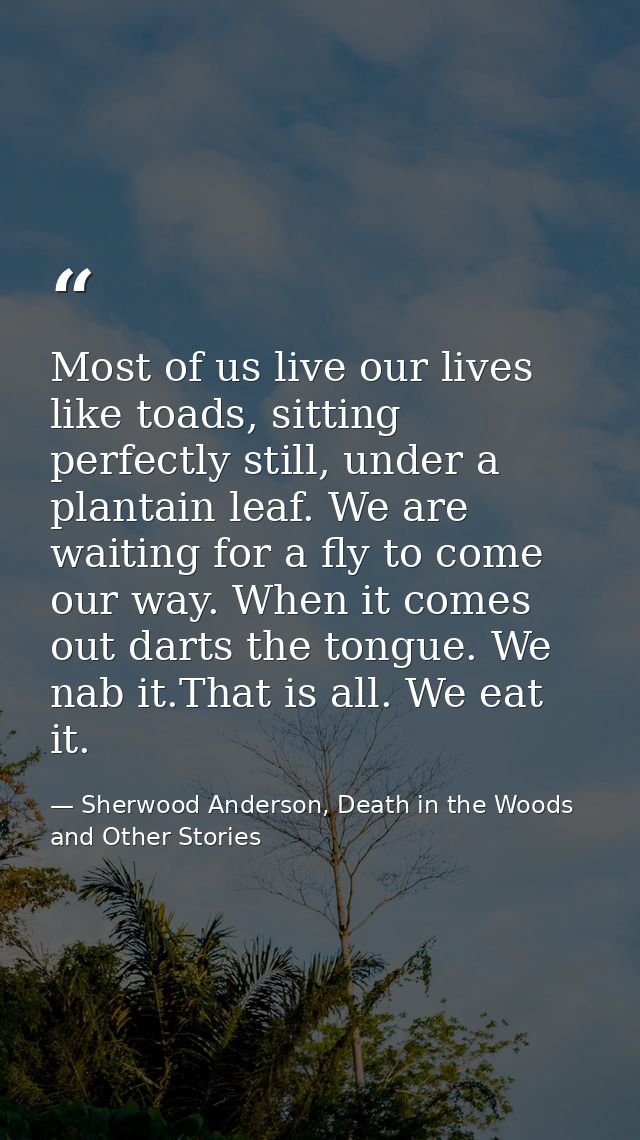 Most of us live our lives like toads, sitting perfectly still, under a plantain leaf. We are waiting for a fly to come o — Sherwood Anderson, Death in the Woods and Other Stories