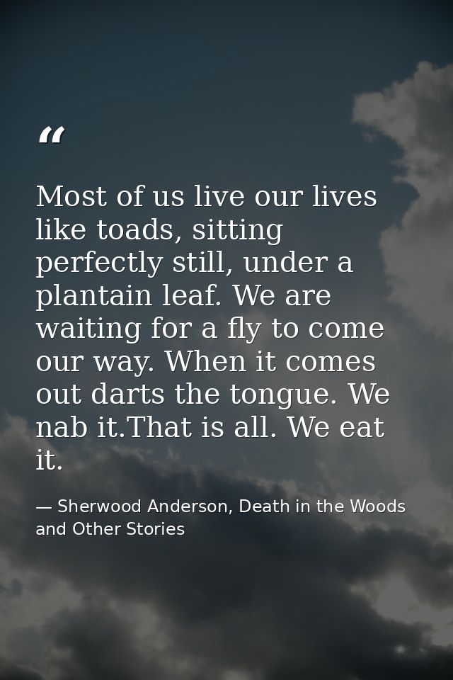 Most of us live our lives like toads, sitting perfectly still, under a plantain leaf. We are waiting for a fly to come o — Sherwood Anderson, Death in the Woods and Other Stories