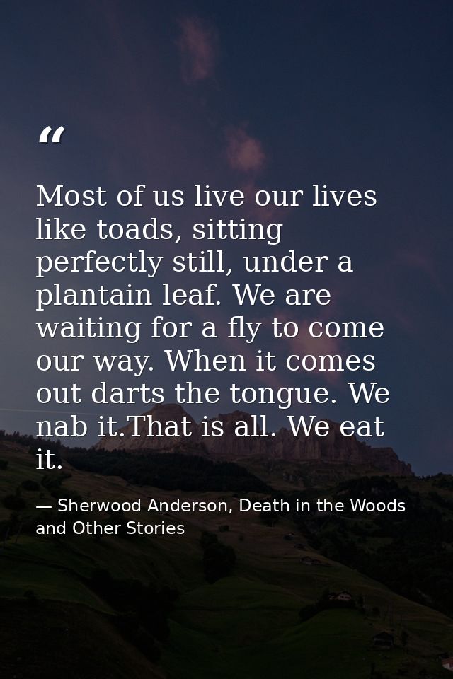 Most of us live our lives like toads, sitting perfectly still, under a plantain leaf. We are waiting for a fly to come o — Sherwood Anderson, Death in the Woods and Other Stories