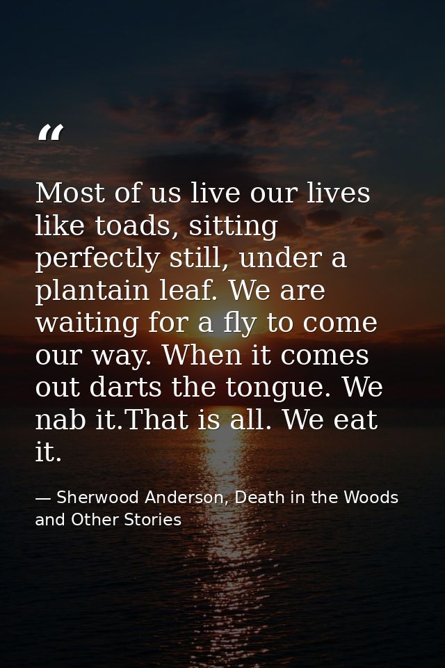 Most of us live our lives like toads, sitting perfectly still, under a plantain leaf. We are waiting for a fly to come o — Sherwood Anderson, Death in the Woods and Other Stories