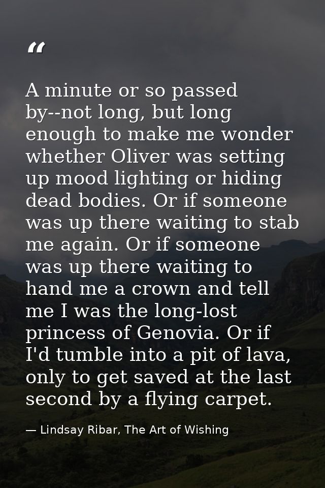 A minute or so passed by--not long, but long enough to make me wonder whether Oliver was setting up mood lighting or hid — Lindsay Ribar, The Art of Wishing