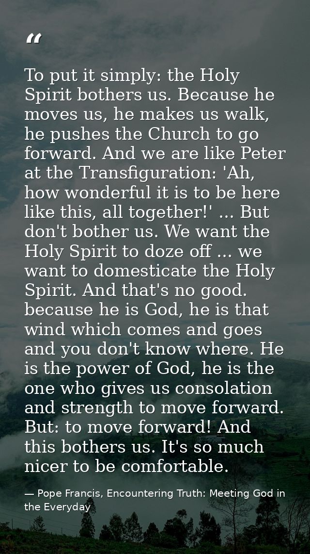 To put it simply: the Holy Spirit bothers us. Because he moves us, he makes us walk, he pushes the Church to go forward. — Pope Francis, Encountering Truth: Meeting God in the Everyday