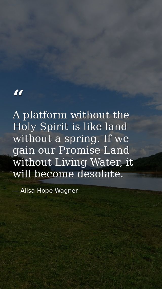 A platform without the Holy Spirit is like land without a spring. If we gain our Promise Land without Living Water, it w — Alisa Hope Wagner