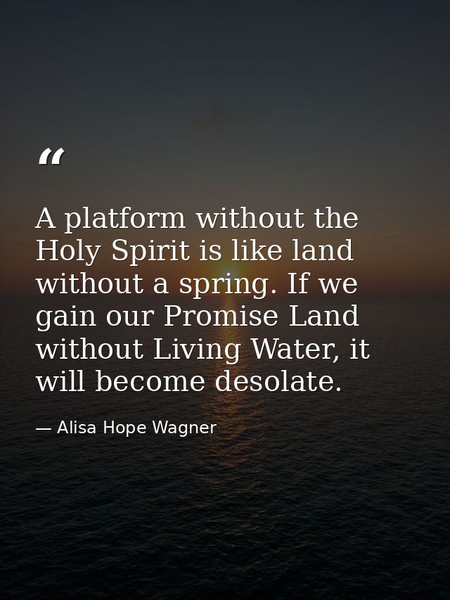 A platform without the Holy Spirit is like land without a spring. If we gain our Promise Land without Living Water, it w — Alisa Hope Wagner