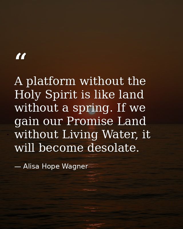 A platform without the Holy Spirit is like land without a spring. If we gain our Promise Land without Living Water, it w — Alisa Hope Wagner