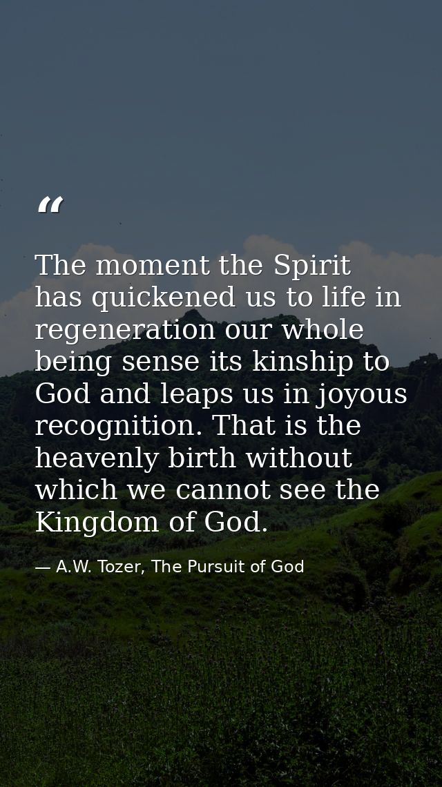 The moment the Spirit has quickened us to life in regeneration our whole being sense its kinship to God and leaps us in  — A.W. Tozer, The Pursuit of God