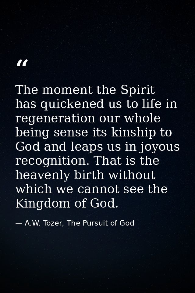 The moment the Spirit has quickened us to life in regeneration our whole being sense its kinship to God and leaps us in  — A.W. Tozer, The Pursuit of God