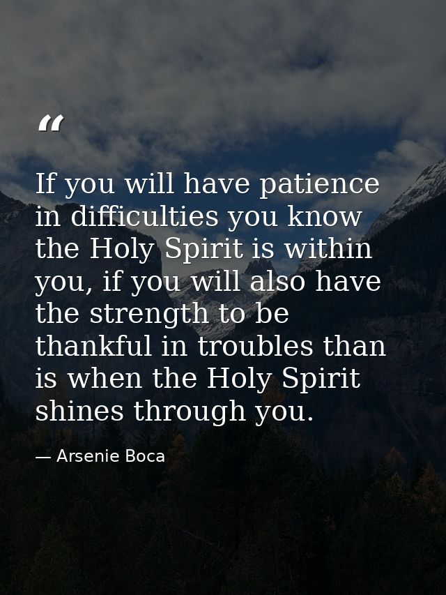 If you will have patience in difficulties you know the Holy Spirit is within you, if you will also have the strength to  — Arsenie Boca