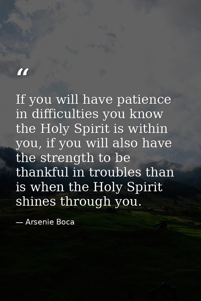 If you will have patience in difficulties you know the Holy Spirit is within you, if you will also have the strength to  — Arsenie Boca