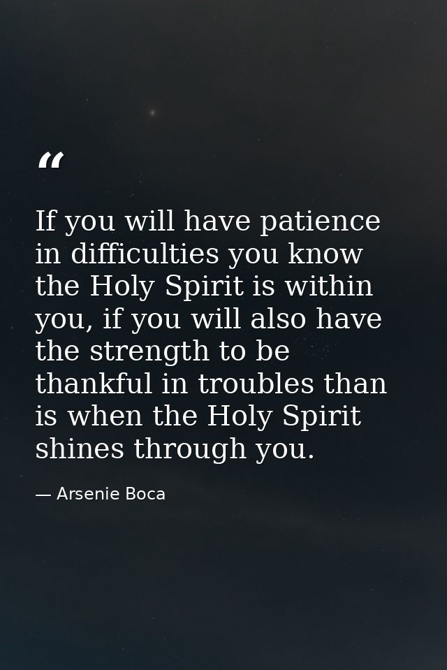 If you will have patience in difficulties you know the Holy Spirit is within you, if you will also have the strength to  — Arsenie Boca