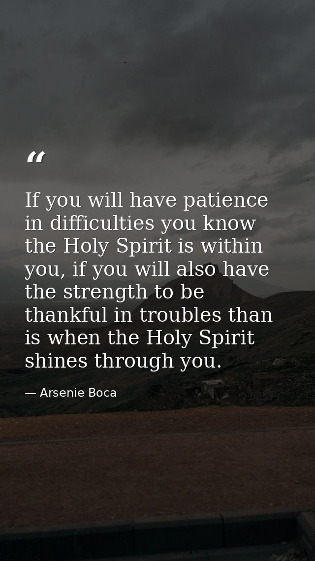If you will have patience in difficulties you know the Holy Spirit is within you, if you will also have the strength to  — Arsenie Boca