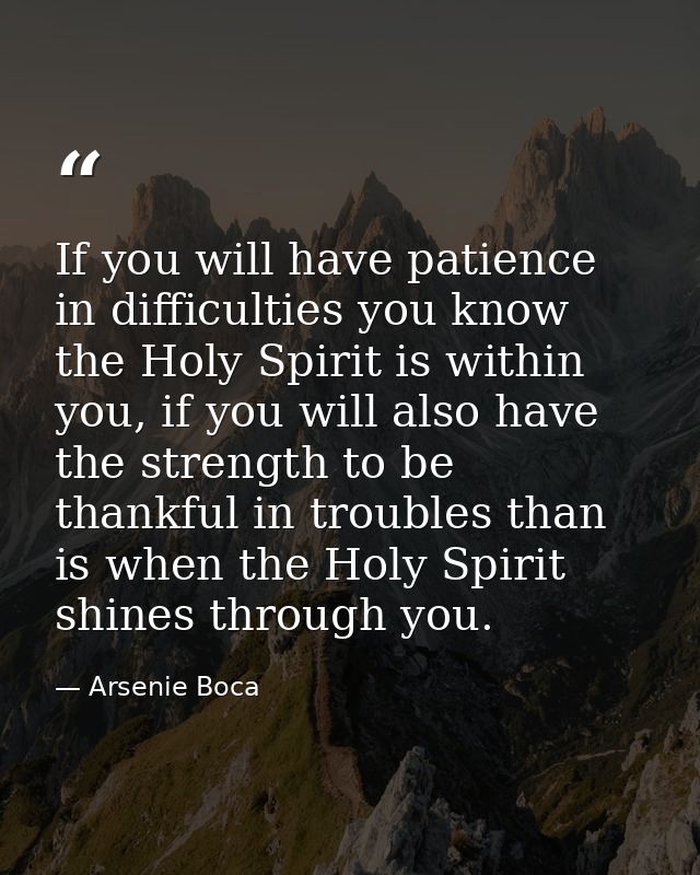 If you will have patience in difficulties you know the Holy Spirit is within you, if you will also have the strength to  — Arsenie Boca