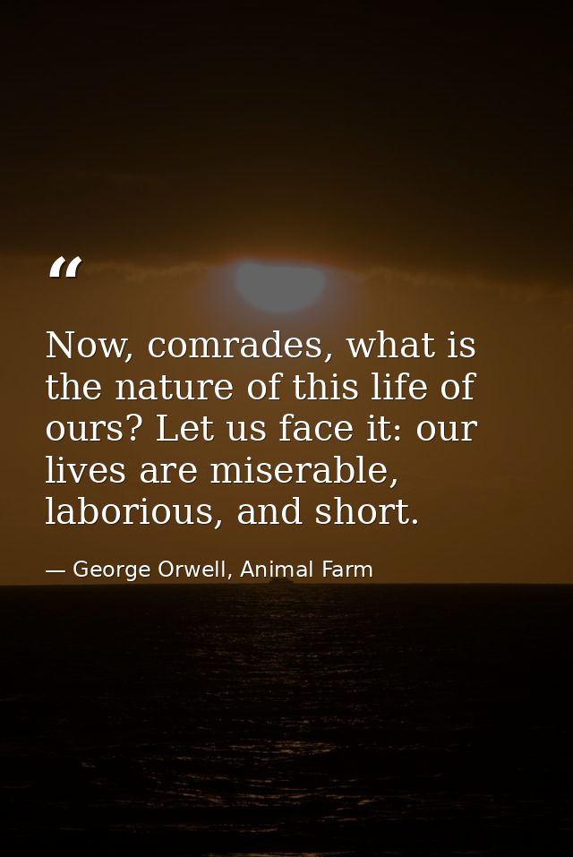 Now, comrades, what is the nature of this life of ours? Let us face it: our lives are miserable, laborious, and short. — George Orwell, Animal Farm