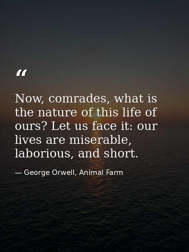 Now, comrades, what is the nature of this life of ours? Let us face it: our lives are miserable, laborious, and short. — George Orwell, Animal Farm