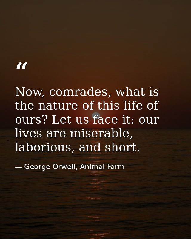 Now, comrades, what is the nature of this life of ours? Let us face it: our lives are miserable, laborious, and short. — George Orwell, Animal Farm