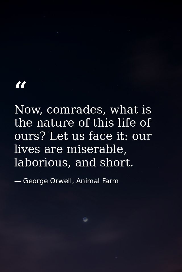 Now, comrades, what is the nature of this life of ours? Let us face it: our lives are miserable, laborious, and short. — George Orwell, Animal Farm