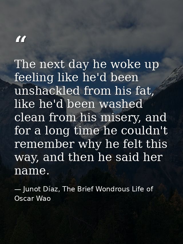 The next day he woke up feeling like he'd been unshackled from his fat, like he'd been washed clean from his misery, and — Junot Díaz, The Brief Wondrous Life of Oscar Wao