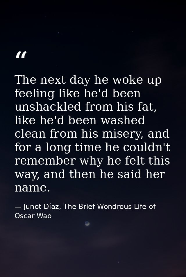 The next day he woke up feeling like he'd been unshackled from his fat, like he'd been washed clean from his misery, and — Junot Díaz, The Brief Wondrous Life of Oscar Wao