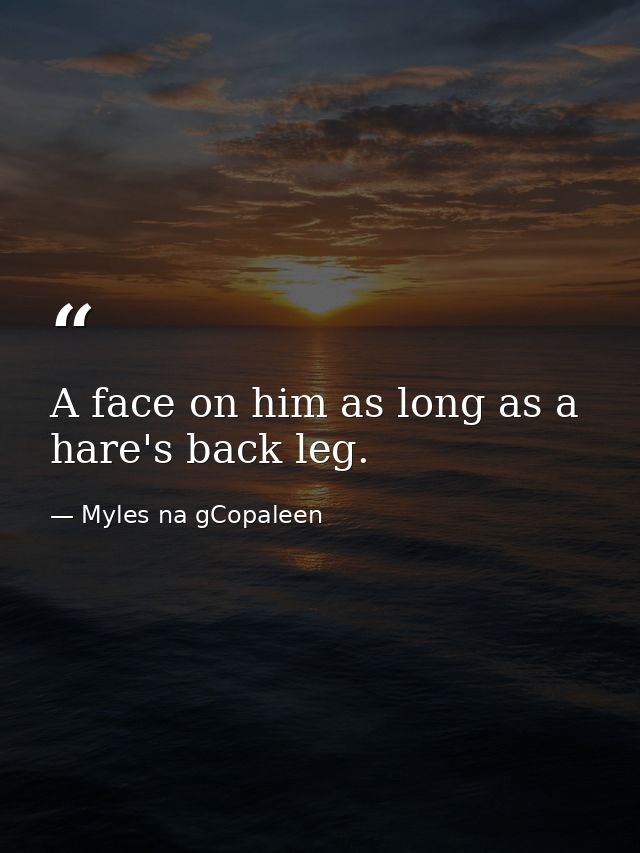 A face on him as long as a hare's back leg. — Myles na gCopaleen