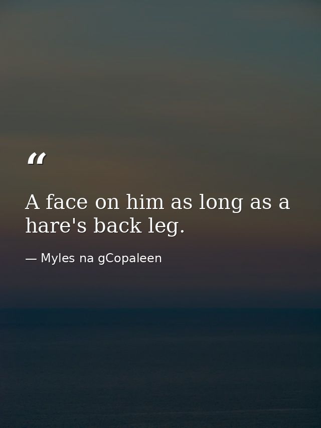 A face on him as long as a hare's back leg. — Myles na gCopaleen