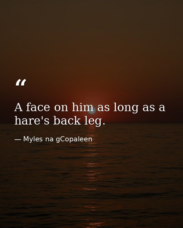 A face on him as long as a hare's back leg. — Myles na gCopaleen