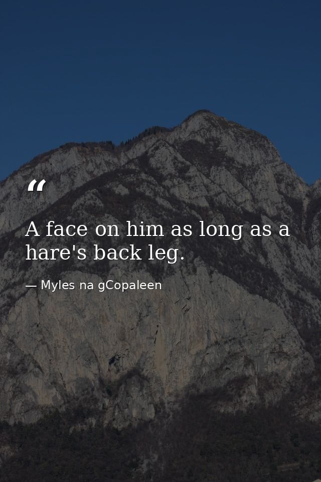 A face on him as long as a hare's back leg. — Myles na gCopaleen