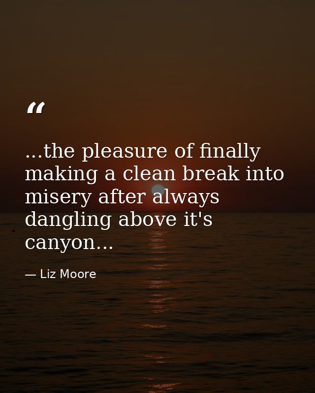 ...the pleasure of finally making a clean break into misery after always dangling above it's canyon... — Liz Moore