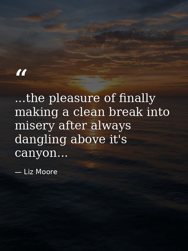 ...the pleasure of finally making a clean break into misery after always dangling above it's canyon... — Liz Moore