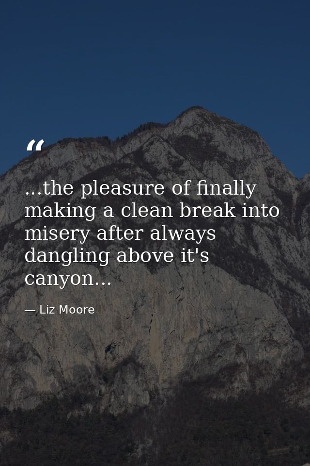 ...the pleasure of finally making a clean break into misery after always dangling above it's canyon... — Liz Moore