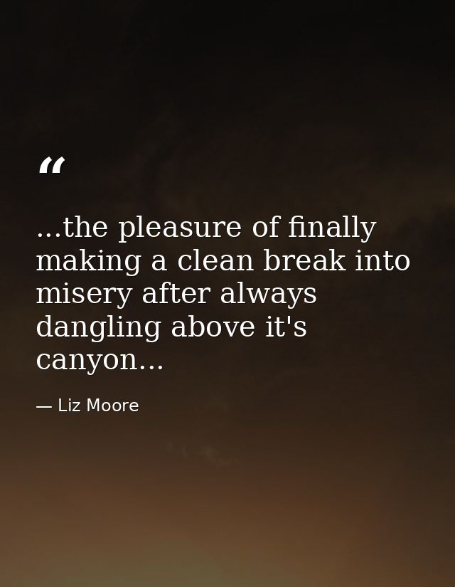 ...the pleasure of finally making a clean break into misery after always dangling above it's canyon... — Liz Moore