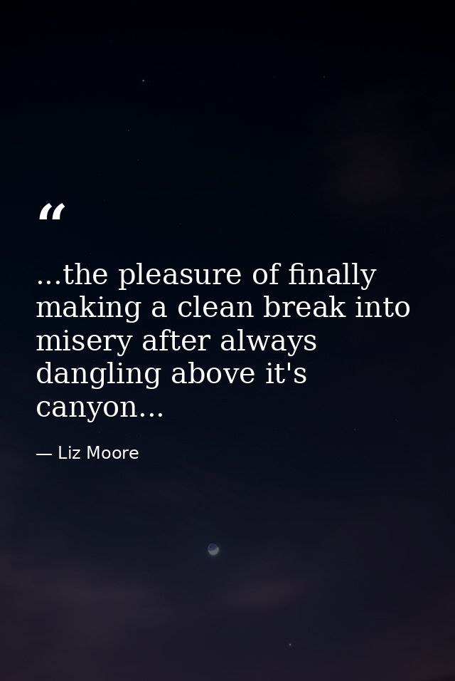 ...the pleasure of finally making a clean break into misery after always dangling above it's canyon... — Liz Moore