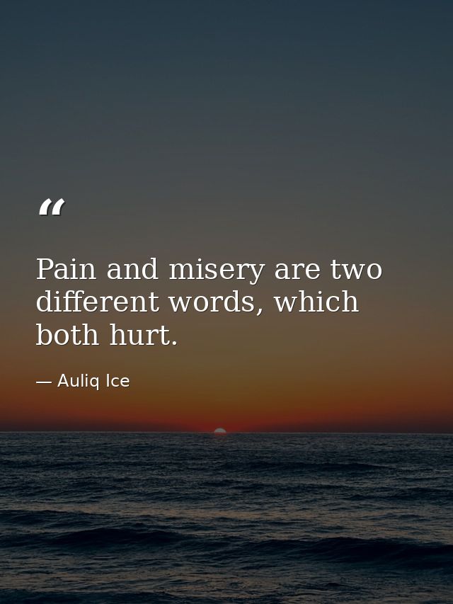 Pain and misery are two different words, which both hurt. — Auliq Ice