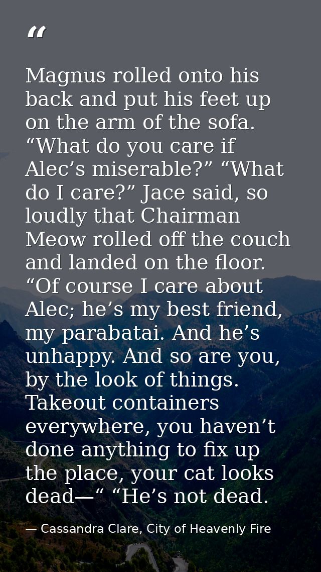Magnus rolled onto his back and put his feet up on the arm of the sofa. “What do you care if Alec’s miserable?” “What do — Cassandra Clare, City of Heavenly Fire