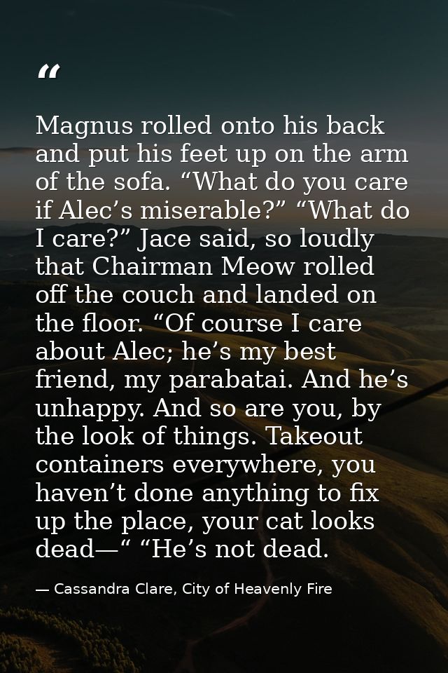 Magnus rolled onto his back and put his feet up on the arm of the sofa. “What do you care if Alec’s miserable?” “What do — Cassandra Clare, City of Heavenly Fire