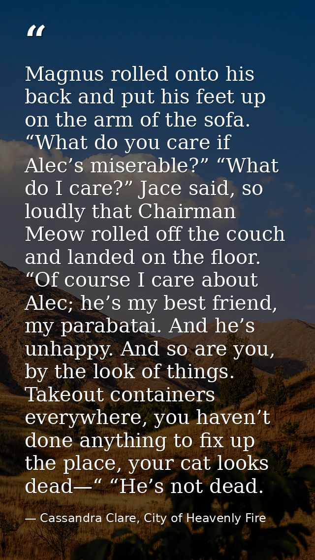 Magnus rolled onto his back and put his feet up on the arm of the sofa. “What do you care if Alec’s miserable?” “What do — Cassandra Clare, City of Heavenly Fire