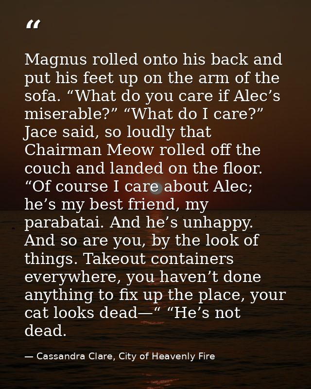 Magnus rolled onto his back and put his feet up on the arm of the sofa. “What do you care if Alec’s miserable?” “What do — Cassandra Clare, City of Heavenly Fire