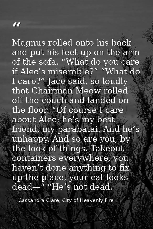 Magnus rolled onto his back and put his feet up on the arm of the sofa. “What do you care if Alec’s miserable?” “What do — Cassandra Clare, City of Heavenly Fire