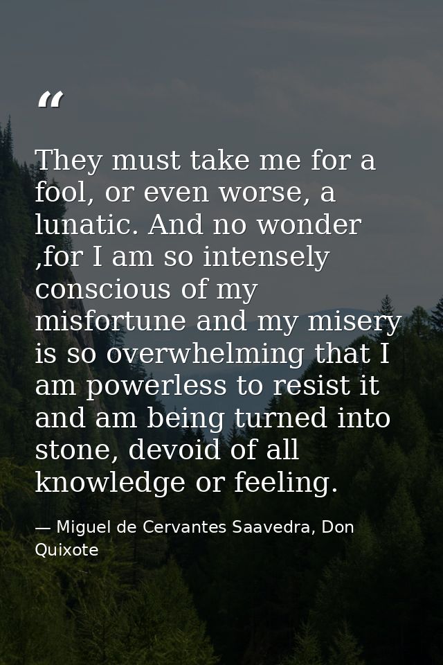They must take me for a fool, or even worse, a lunatic. And no wonder ,for I am so intensely conscious of my misfortune  — Miguel de Cervantes Saavedra, Don Quixote