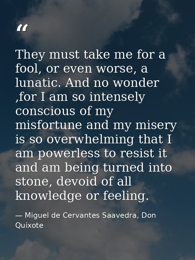 They must take me for a fool, or even worse, a lunatic. And no wonder ,for I am so intensely conscious of my misfortune  — Miguel de Cervantes Saavedra, Don Quixote